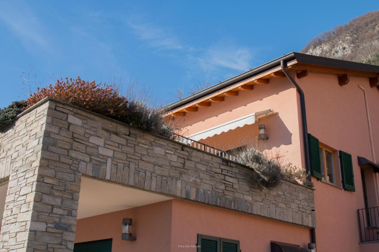 La Vigna Appartement *